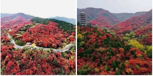 97b4193e37db3ce6ecf16806813c332.png 97b4193e37db3ce6ecf16806813c332.png